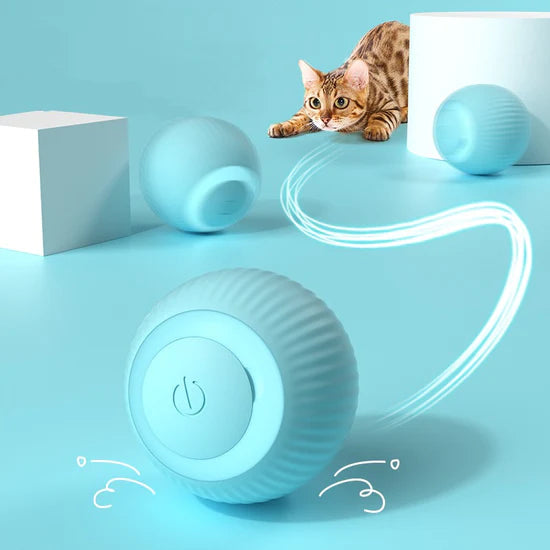 Balle magique interactive pour chat - Stimule et Divertit